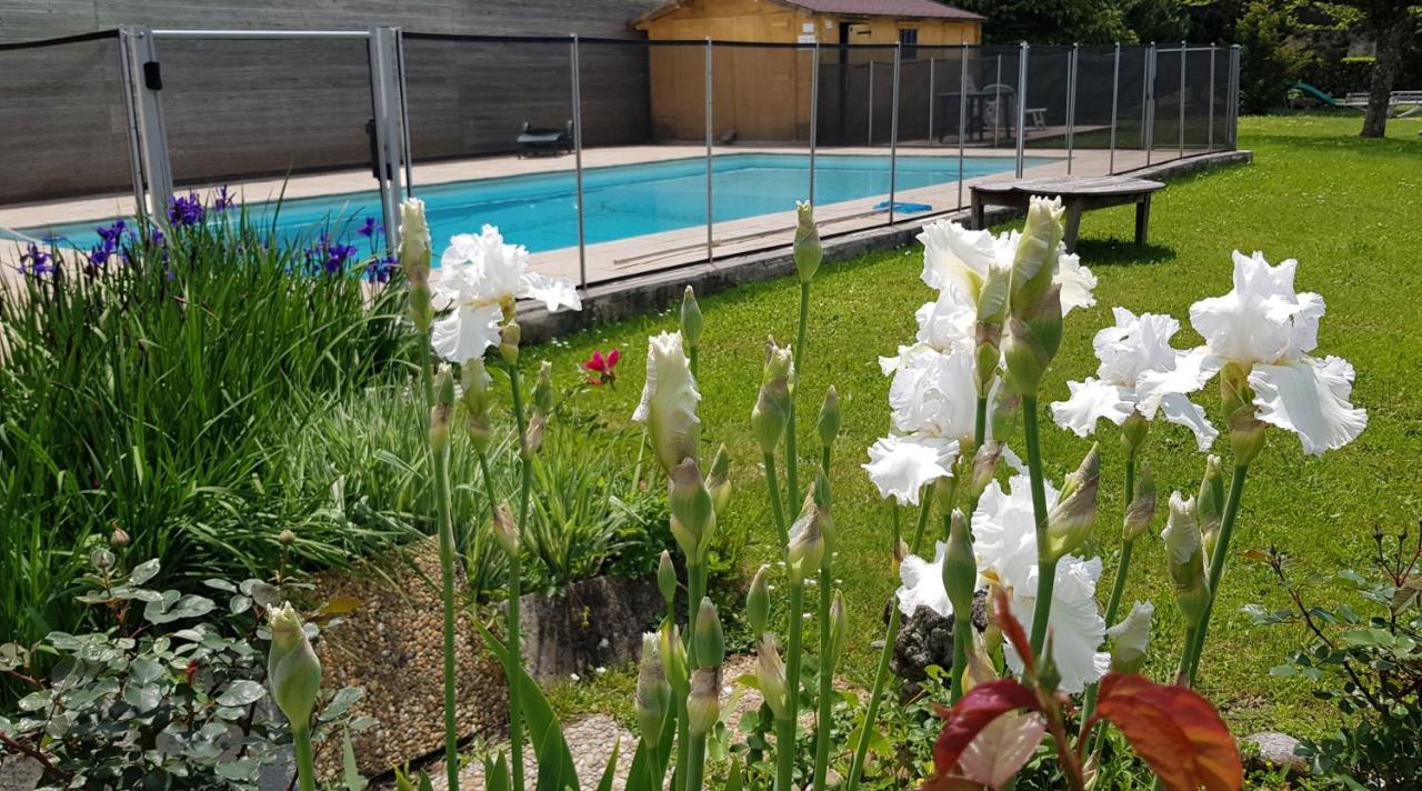 Gites de La Croisée des Chemins - Piscine Chauffée - Spa, Hammam et Sauna Izeaux Extérieur photo